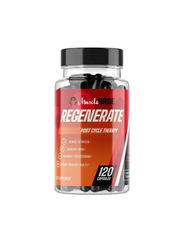 Muscle Rage – Regenerate